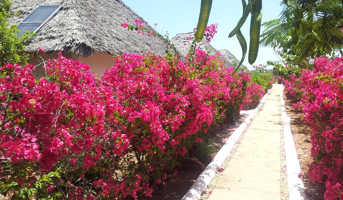 Les haies colorées du jardin isolent les villas du Kasha Boutique Hotel