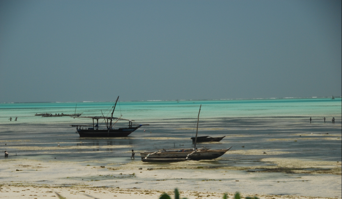 Les dhows, bateaux traditionnels de Zanzibar