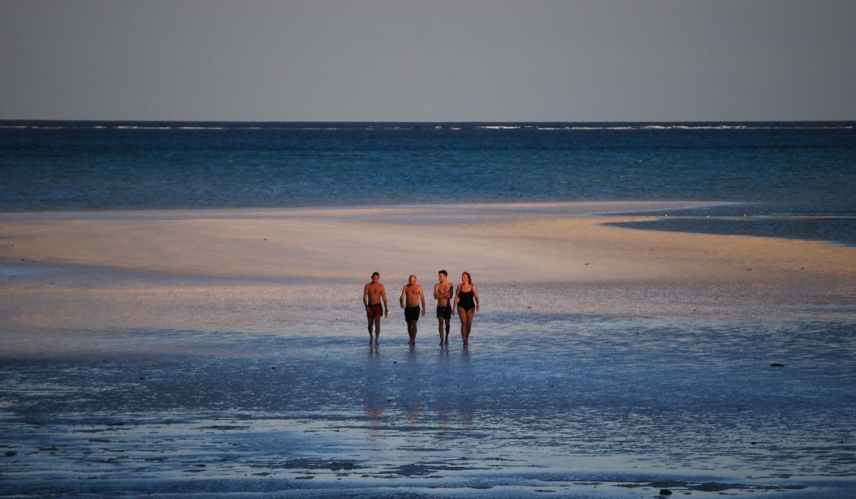 Promenade entre amis sur une plage de Zanzibar à marée basse