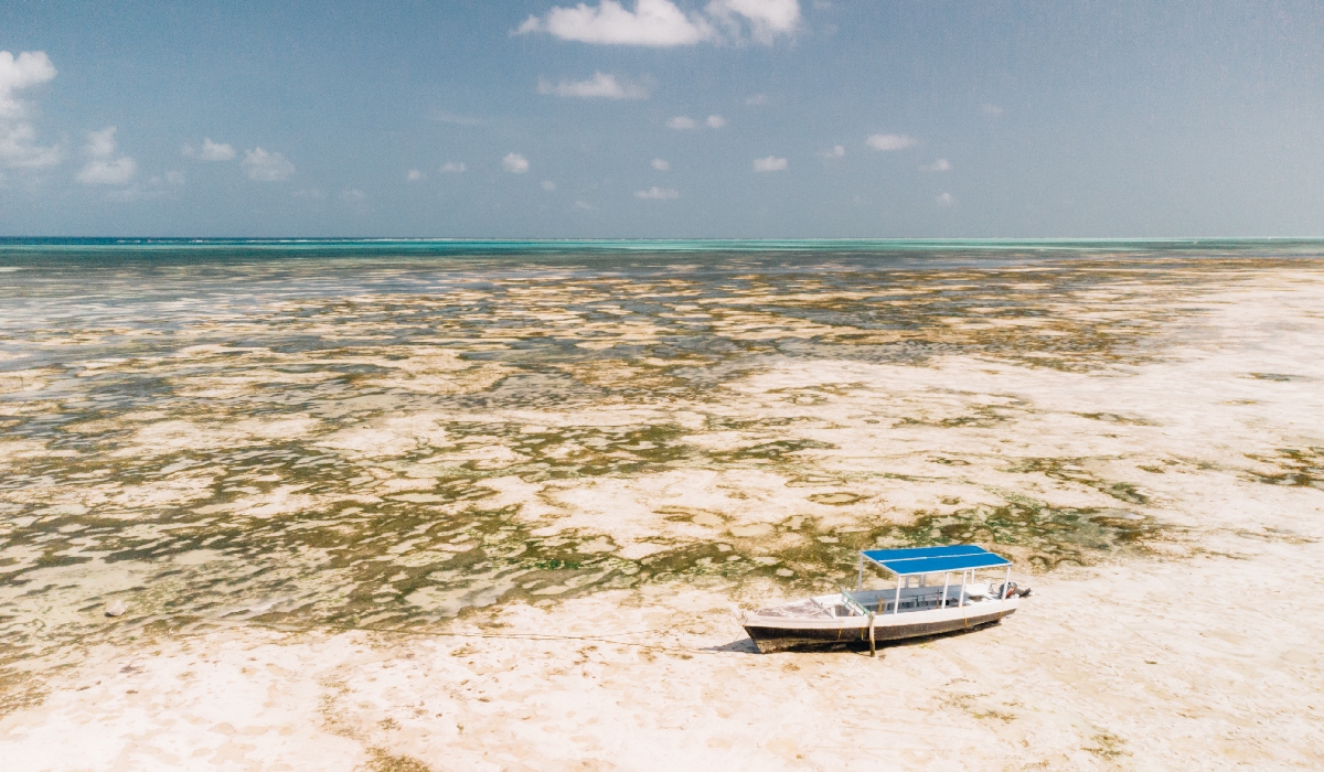 L'amplitude des marées à Zanzibar