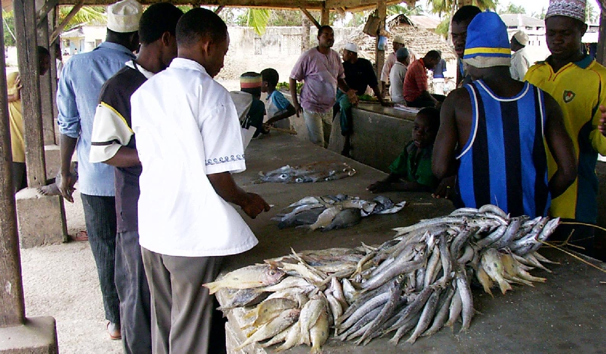 Marché aux poissons à Matemwe