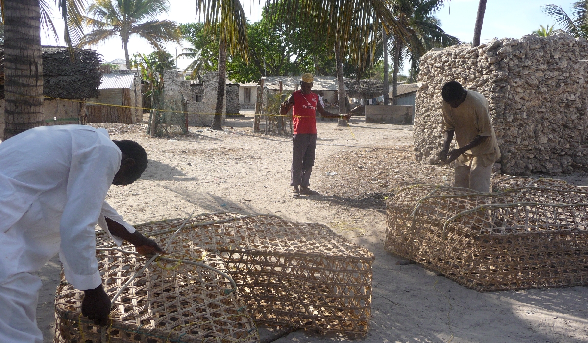Entretien des casiers de pêche à Matemwe