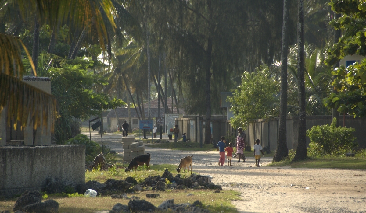Scène de vie dans les rues de Jambiani à Zanzibar