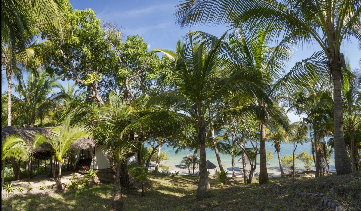 Ambiance palmiers et eau turquoise à Mafia, archipel de Zanzibar